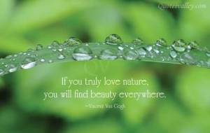 if-you-truly-love-nature-you-will-find-beauty-everywhere-beauty-quote